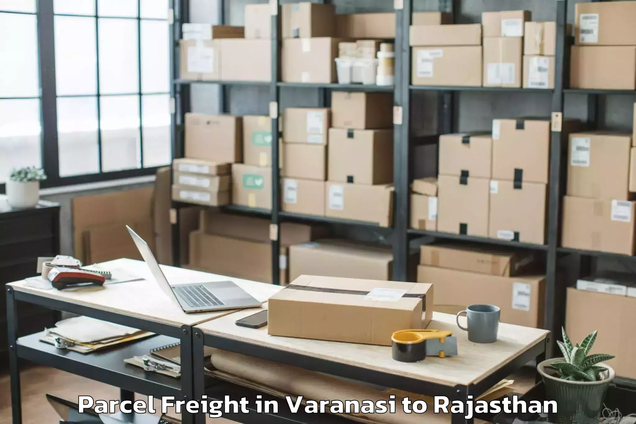 Varanasi to Amet Parcel Freight